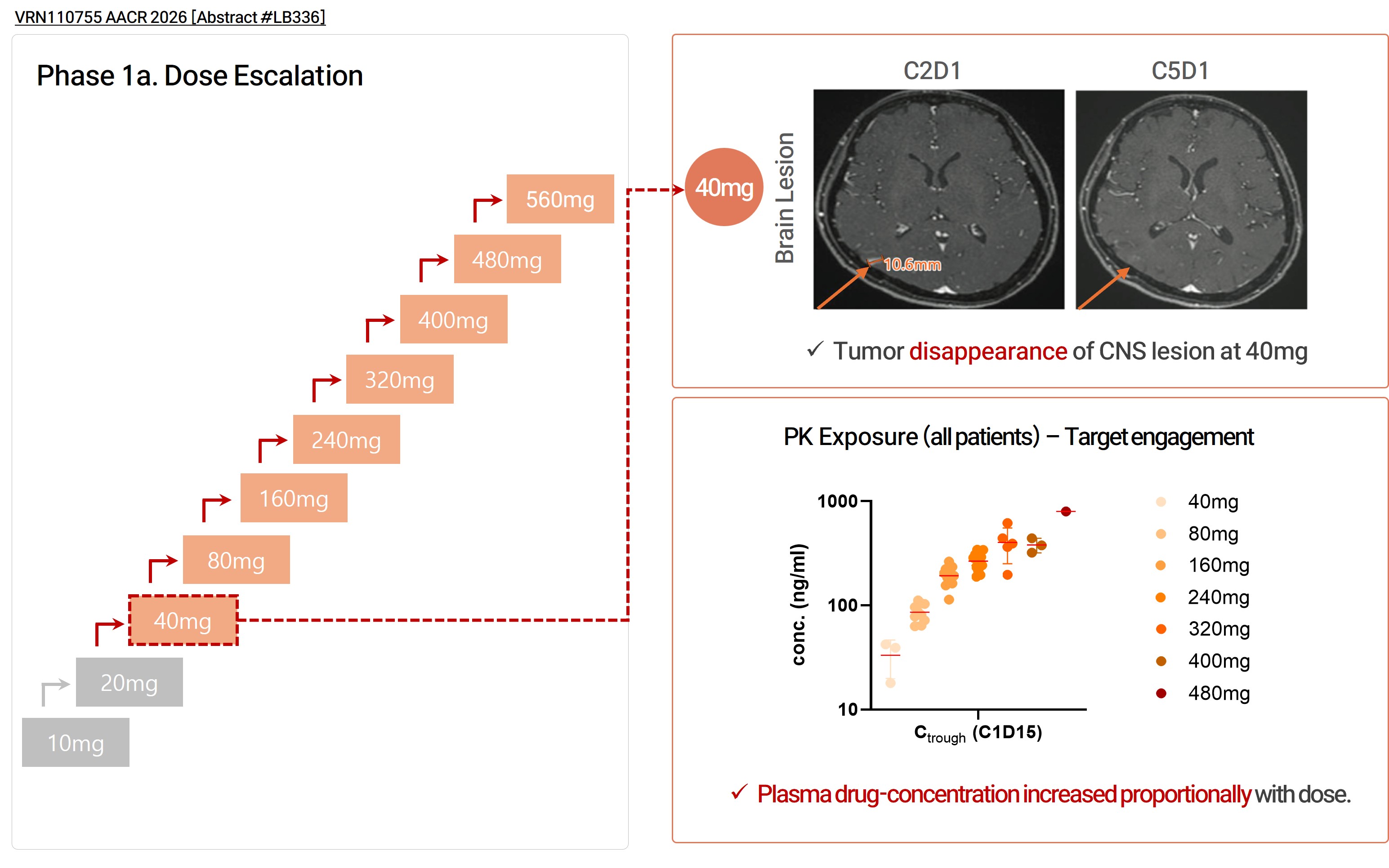 Brain lesion MRI changes across VRN11 dose levels