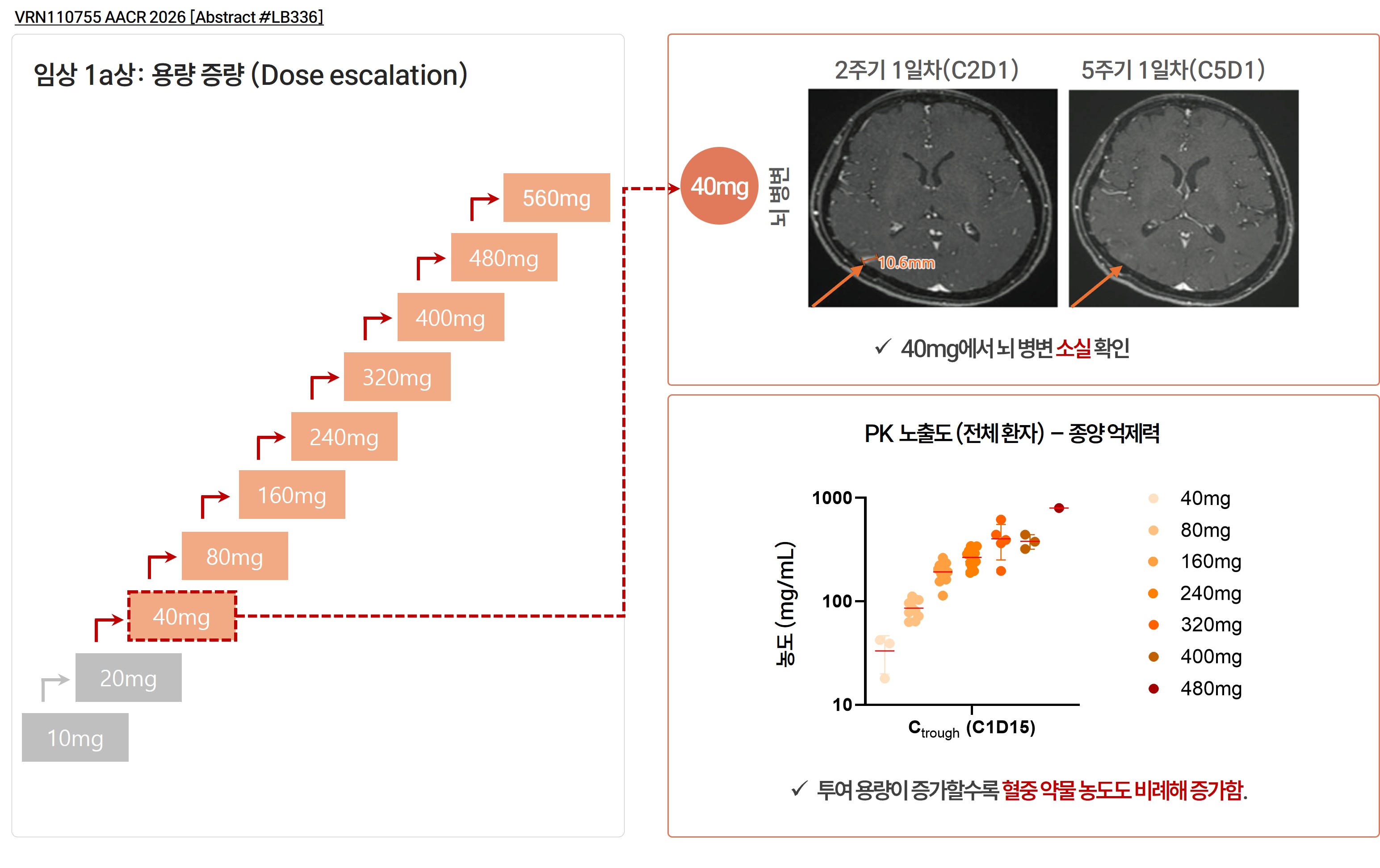 용량 단계별(40mg, 160mg, 240mg) 뇌 병변 MRI 변화 사례, 종양 크기 감소 또는 소실 확인