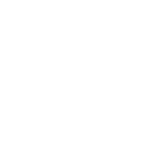 VORONOI 로고